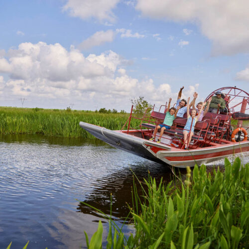 An airboat carrying a family through the marsh.